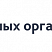 Превью адаптивного сайта кандидата SIMAI-SF4 с версией для слабовидящих